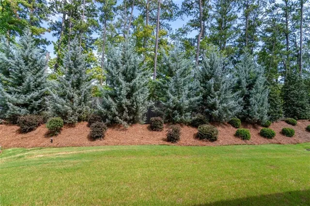 a view of a backyard