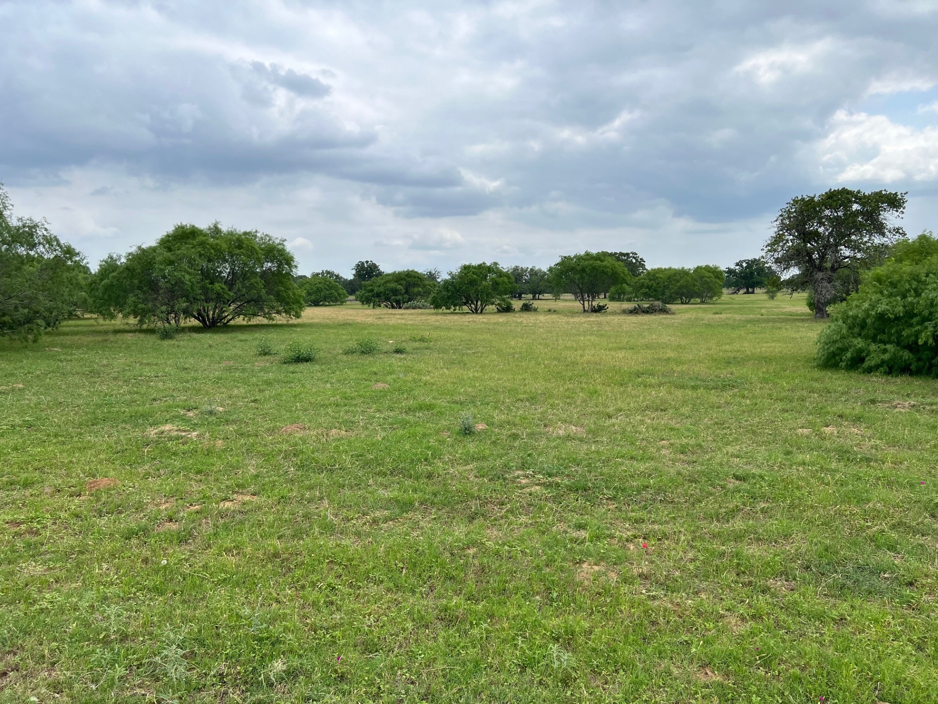 Lot 17 Settlement Way Luling, TX 78648 - Photo 3 of 14 Vast green meadows provide a serene backdrop for building your dream estate.