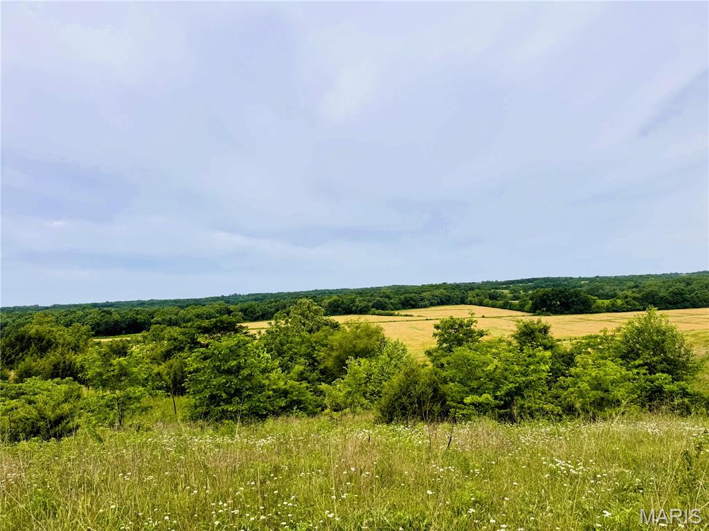 0 Knox Road Marceline, MO 64658 - Photo 11 of 12