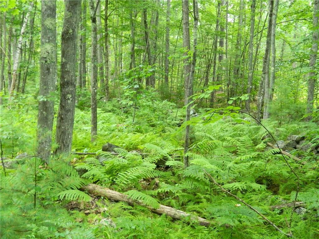0 Mountain Road Parsonsfield, ME 04047 - Photo 3 of 22 Photo