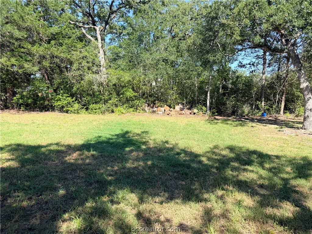 281 Redberry Road Somerville, TX 77879 - Photo 3 of 15