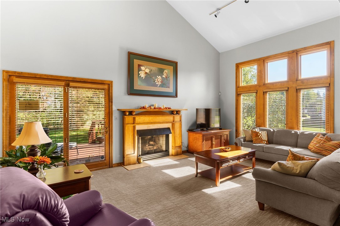 2430 Howland Wilson Road Northeast Warren, OH 44484 - Photo 18 of 33 Carpeted living room with high vaulted ceiling