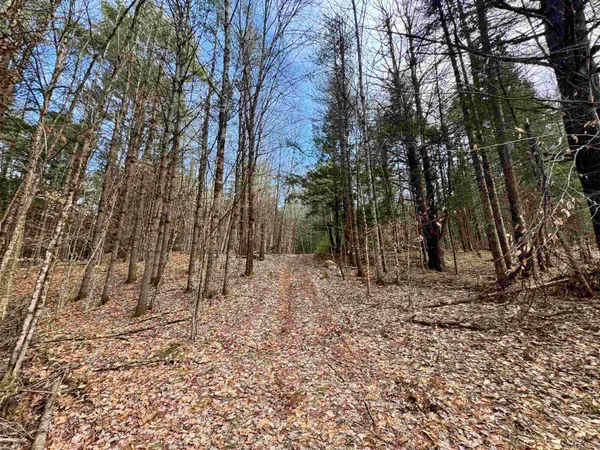 $270,000 | 0 Quint Road, South Ryegate, VT 05069