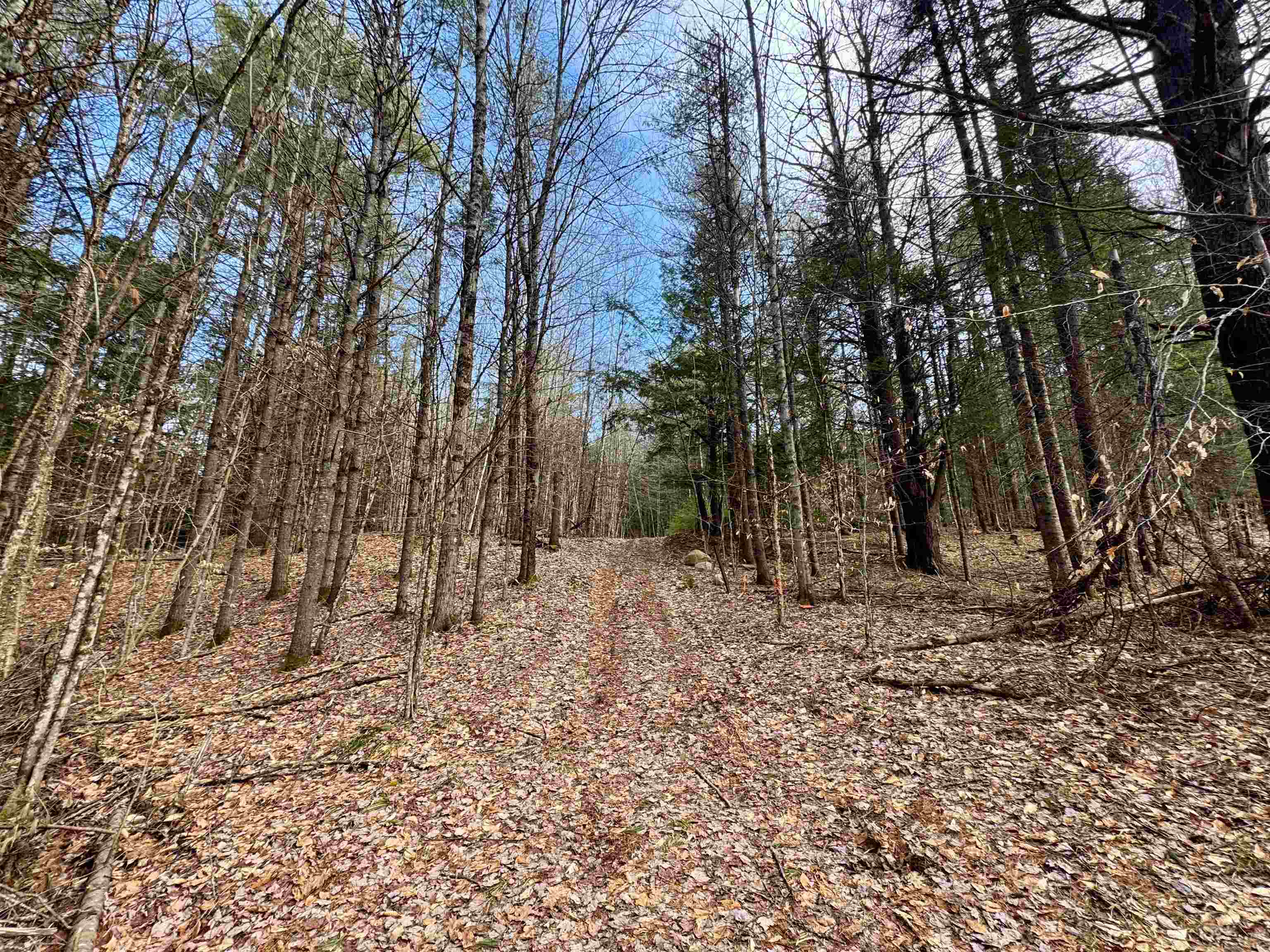 0 Quint Road South Ryegate, VT 05069 - Photo 12 of 19