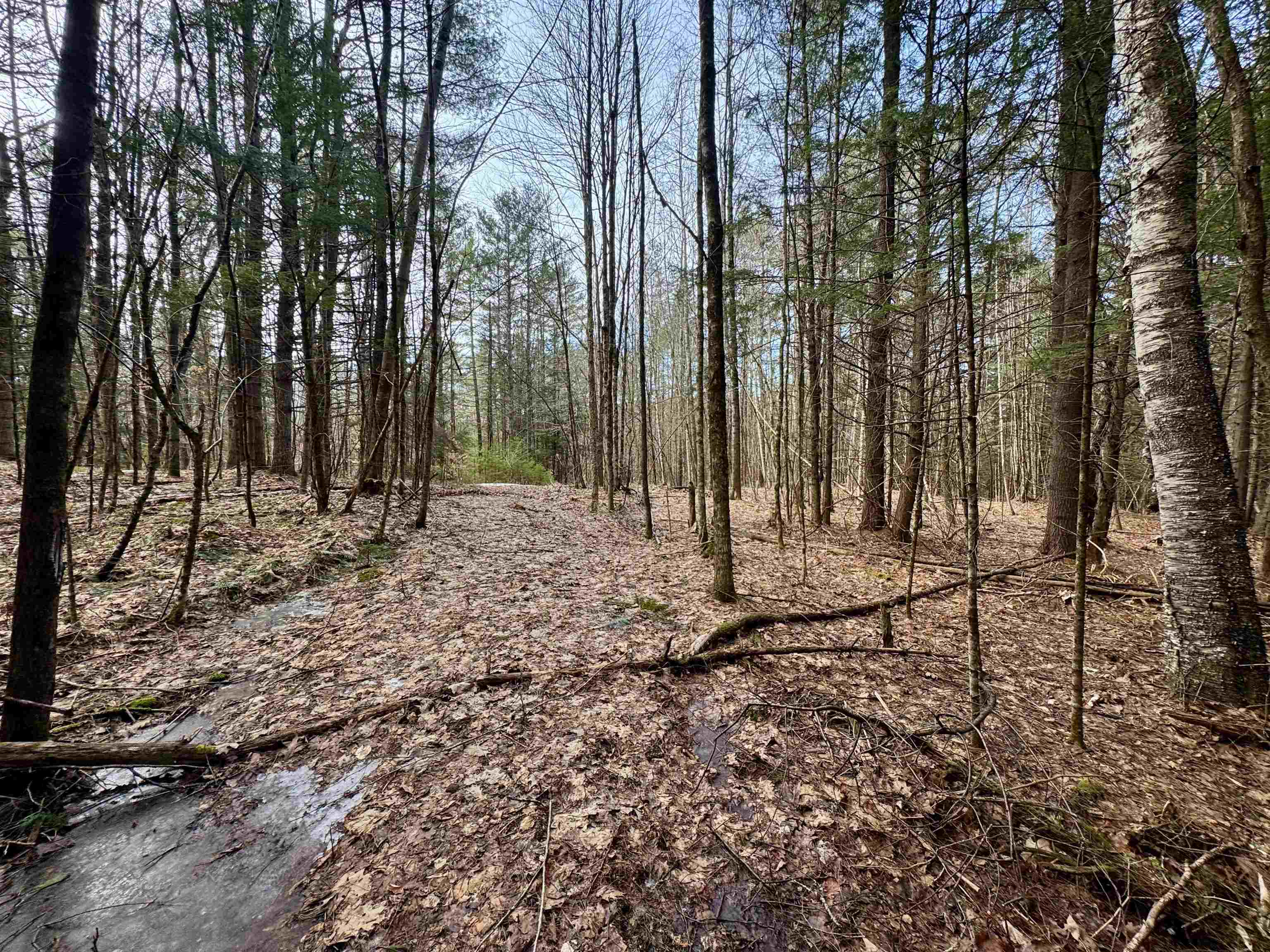 0 Quint Road South Ryegate, VT 05069 - Photo 15 of 19