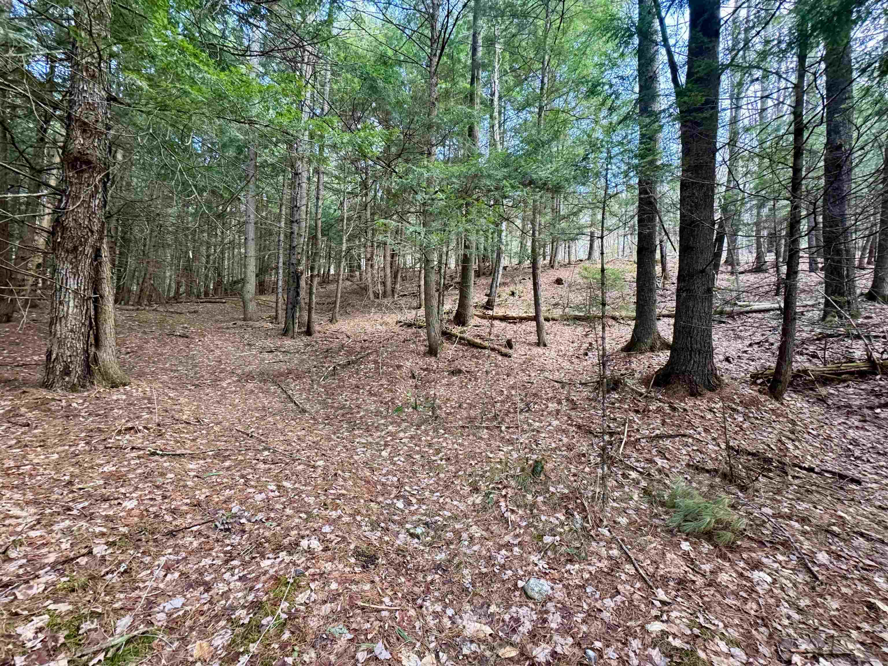 0 Quint Road South Ryegate, VT 05069 - Photo 16 of 19