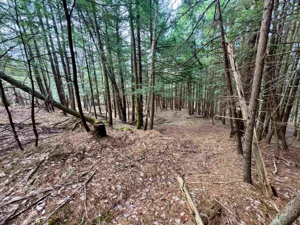 $270,000 | 0 Quint Road, South Ryegate, VT 05069