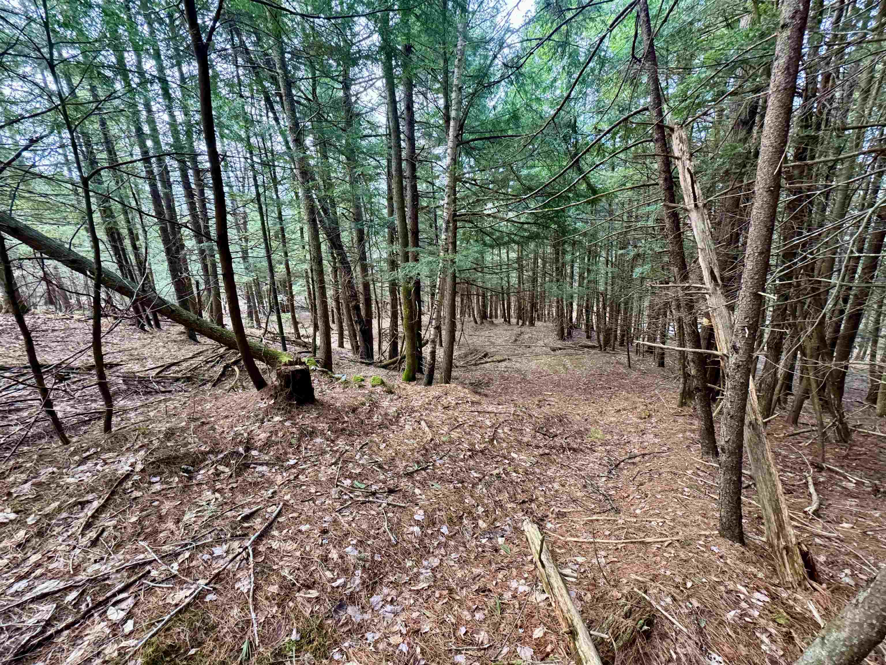 0 Quint Road South Ryegate, VT 05069 - Photo 17 of 19