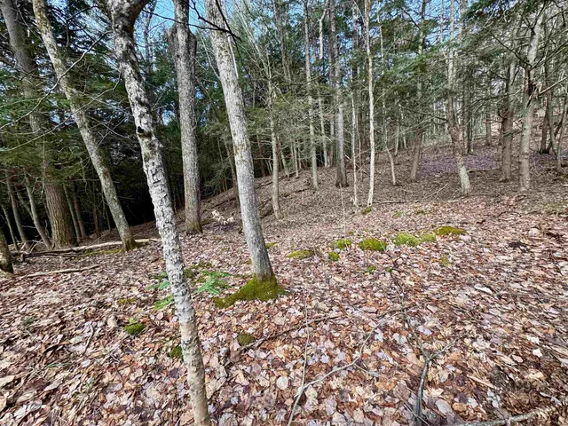 $280,000 | 0 Quint Road, South Ryegate, VT 05069