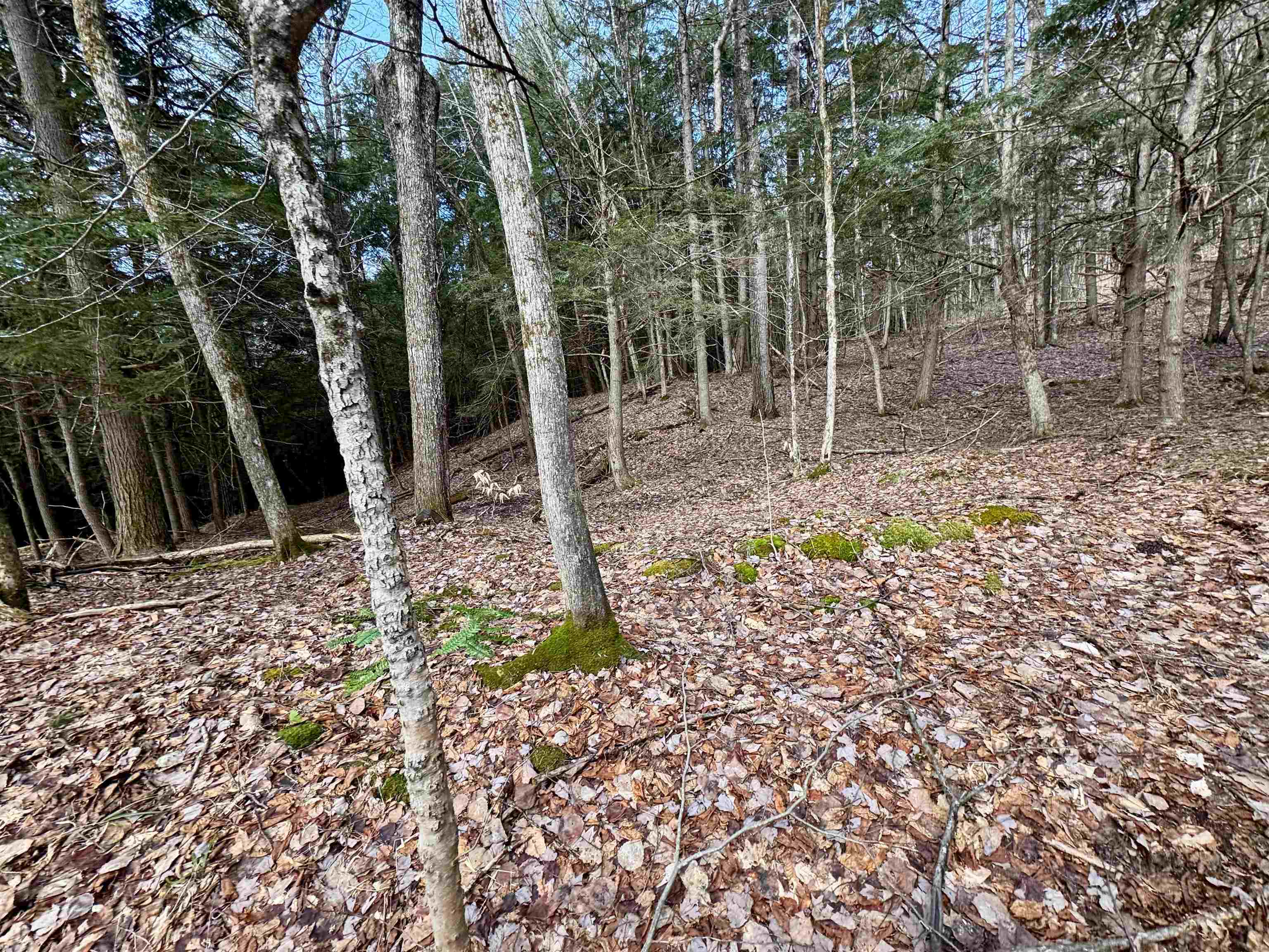 0 Quint Road South Ryegate, VT 05069 - Photo 18 of 19