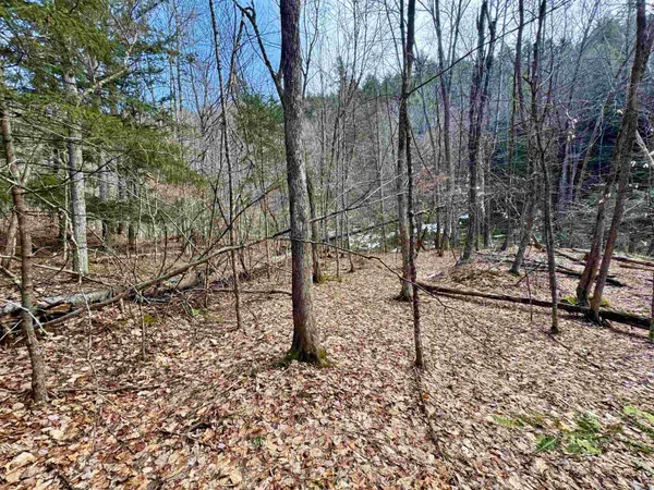 $270,000 | 0 Quint Road, South Ryegate, VT 05069
