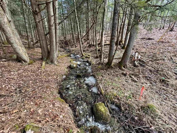 $270,000 | 0 Quint Road, South Ryegate, VT 05069
