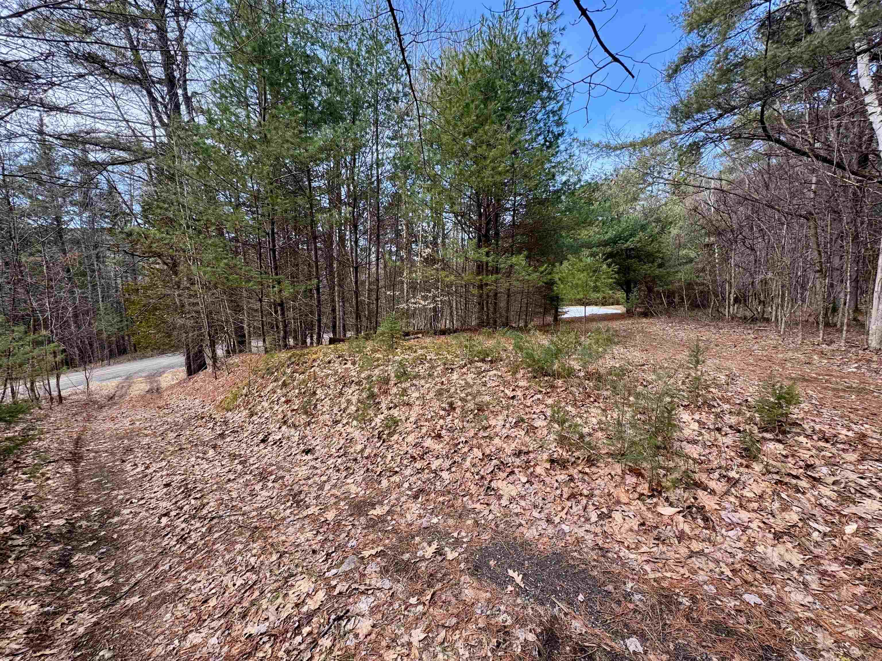 0 Quint Road South Ryegate, VT 05069 - Photo 9 of 19