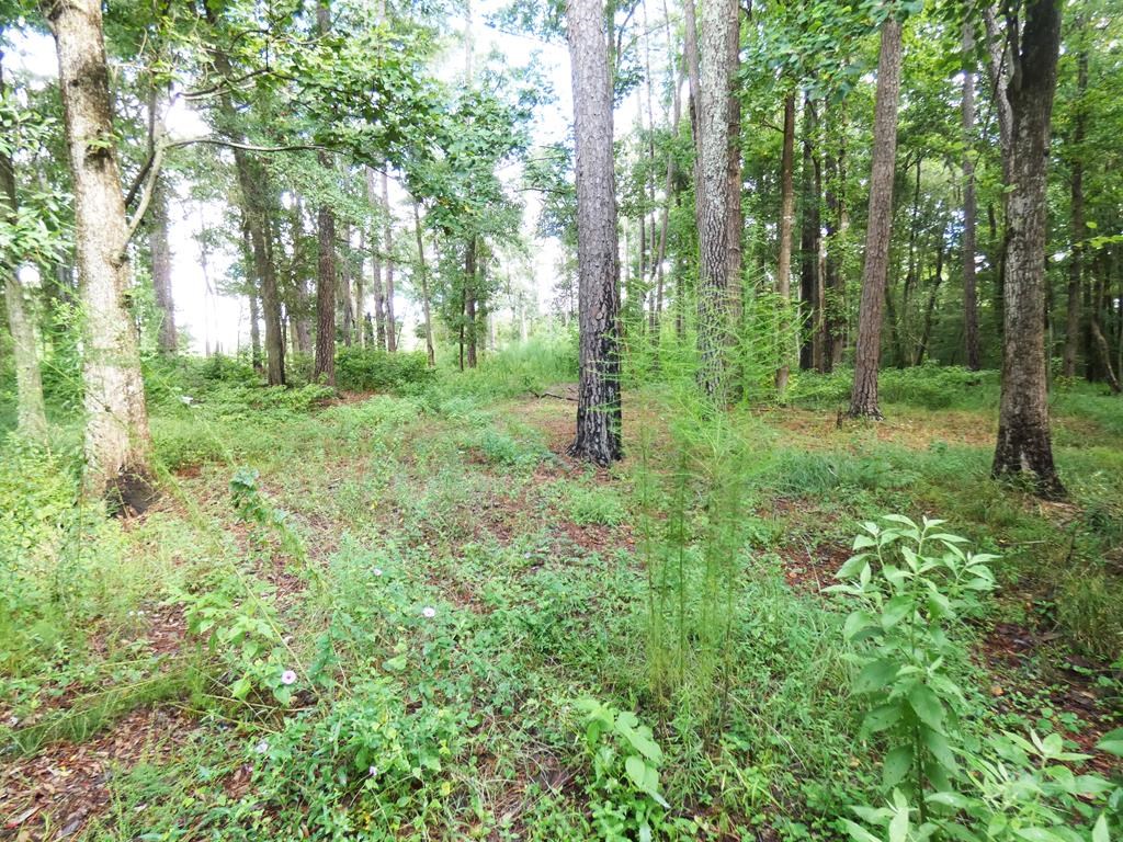 0 Woods Road Headland, AL 36345 - Photo 2 of 4