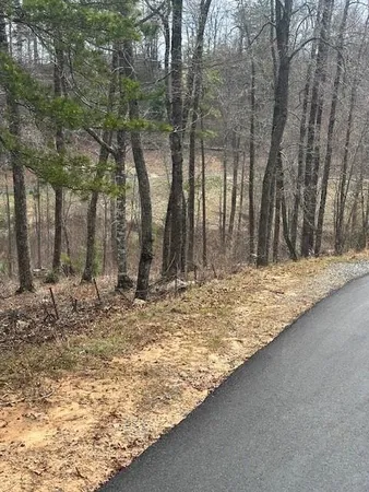 $280,000 | Lot 195 Trails End Way, Mineral Bluff, GA 30559