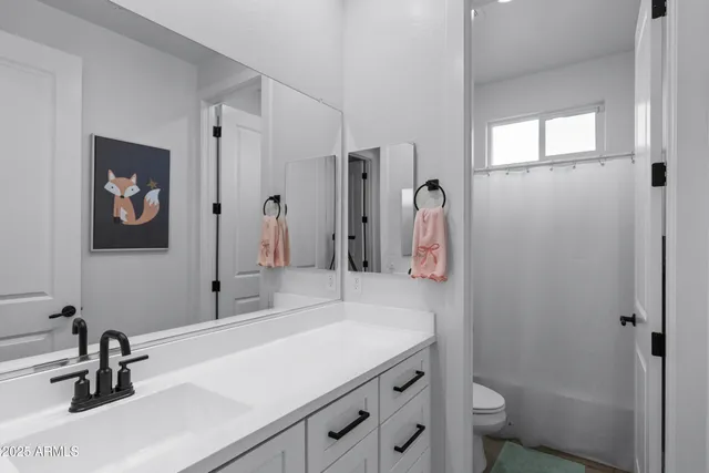 a bathroom with a sink a toilet and a large mirror