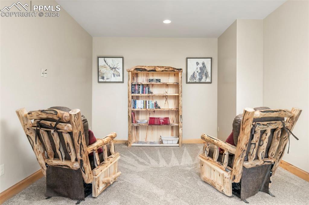 252 Running Elk Point Divide, CO 80814 - Photo 44 of 48 a living room with furniture