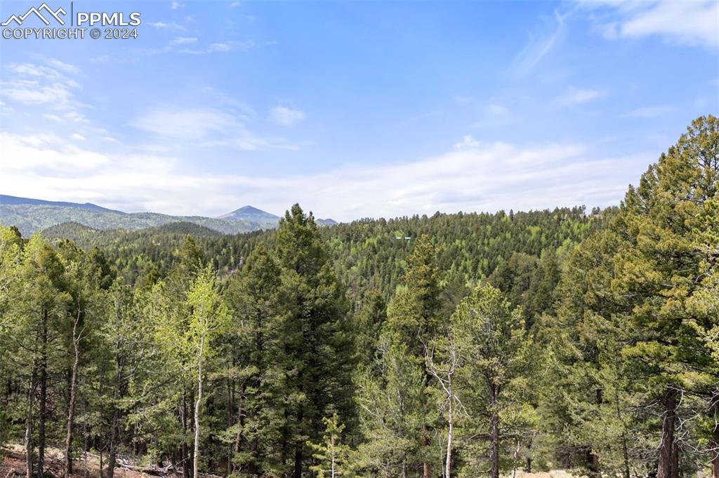 252 Running Elk Point Divide, CO 80814 - Photo 45 of 48 a view of a green field