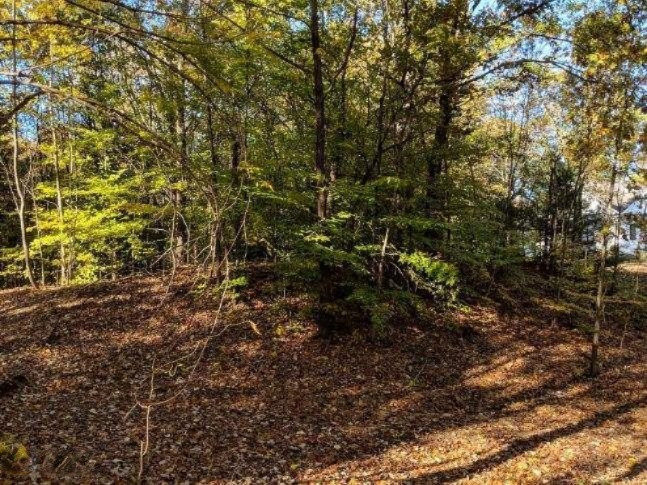 4090 Ronalds Road Dorr, MI 49323 - Photo 2 of 13 lot 1