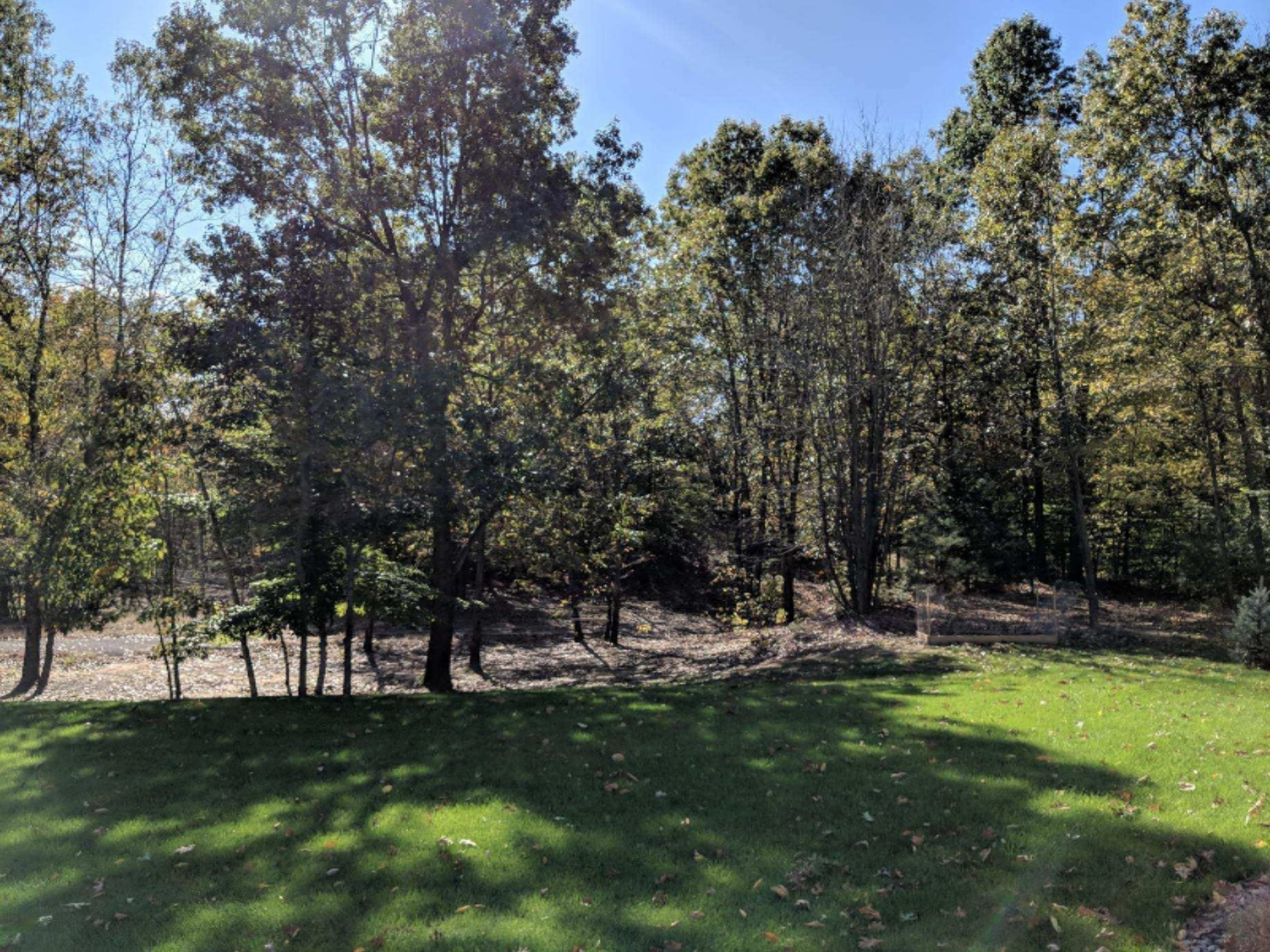 4090 Ronalds Road Dorr, MI 49323 - Photo 4 of 13 lot 4