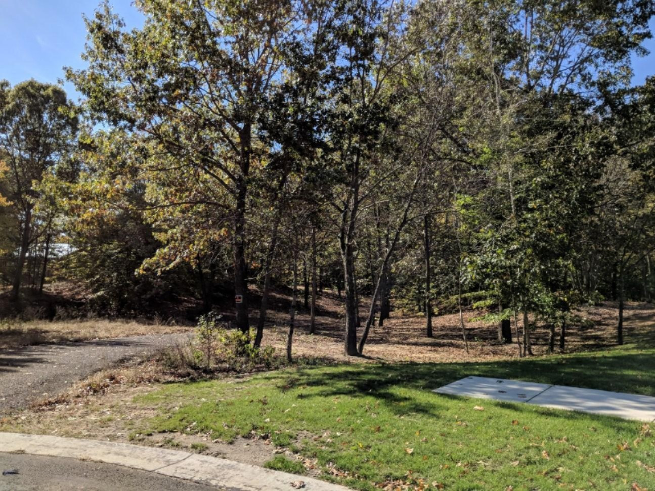 4090 Ronalds Road Dorr, MI 49323 - Photo 5 of 13 lot 5