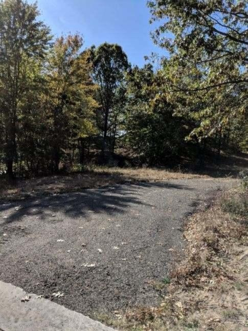 4090 Ronalds Road Dorr, MI 49323 - Photo 6 of 13 lot 6