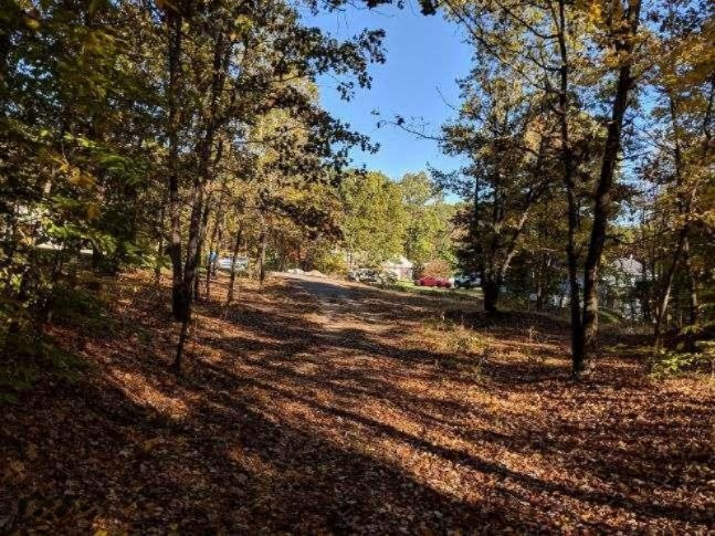 4090 Ronalds Road Dorr, MI 49323 - Photo 8 of 13 lot 9