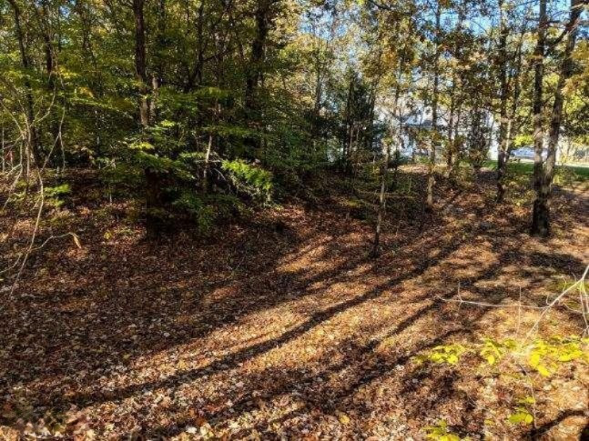 4090 Ronalds Road Dorr, MI 49323 - Photo 9 of 13 lot 12