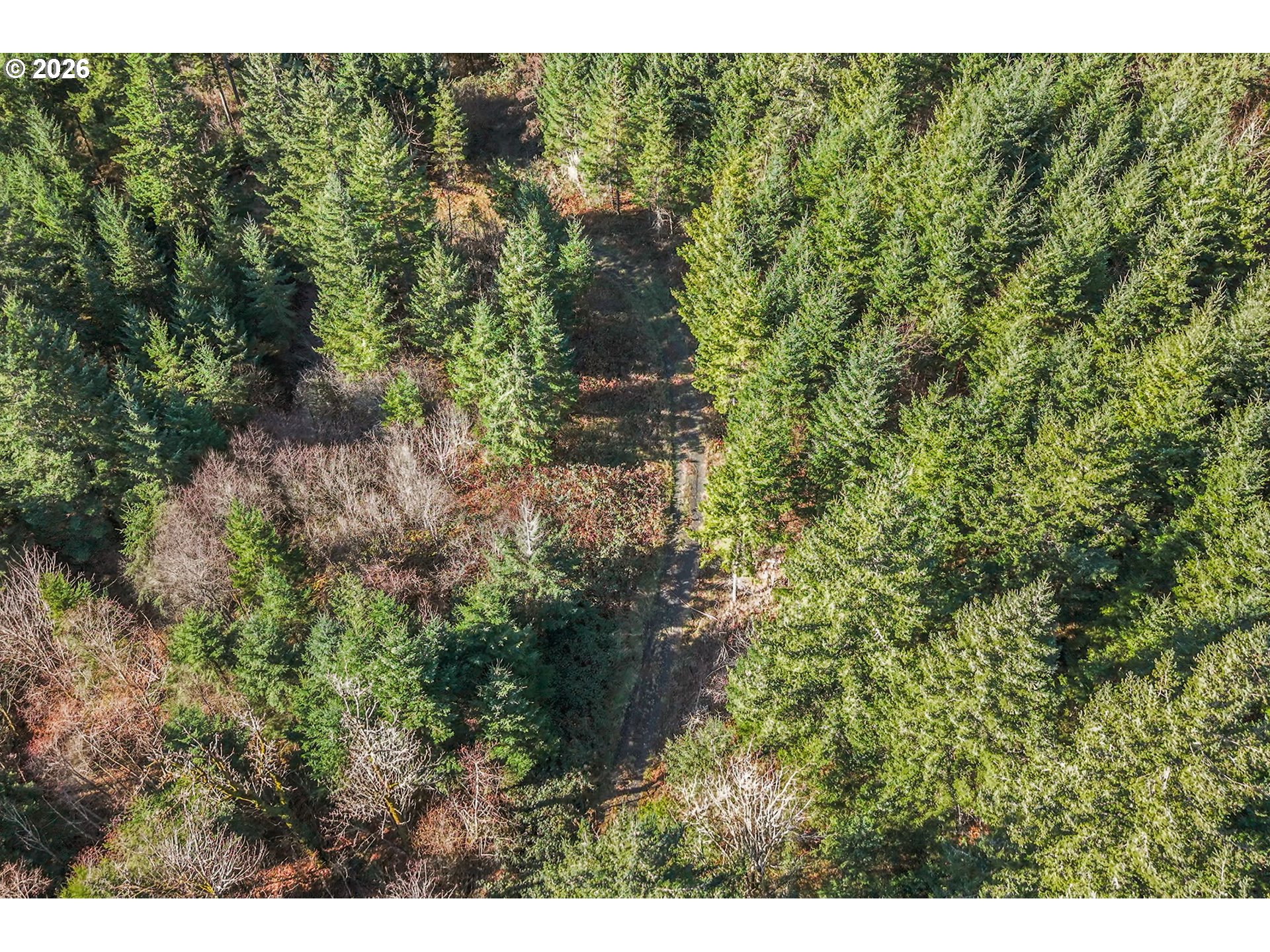 831 Franz Road Stevenson, WA 98648 - Photo 11 of 26 a view of a yard