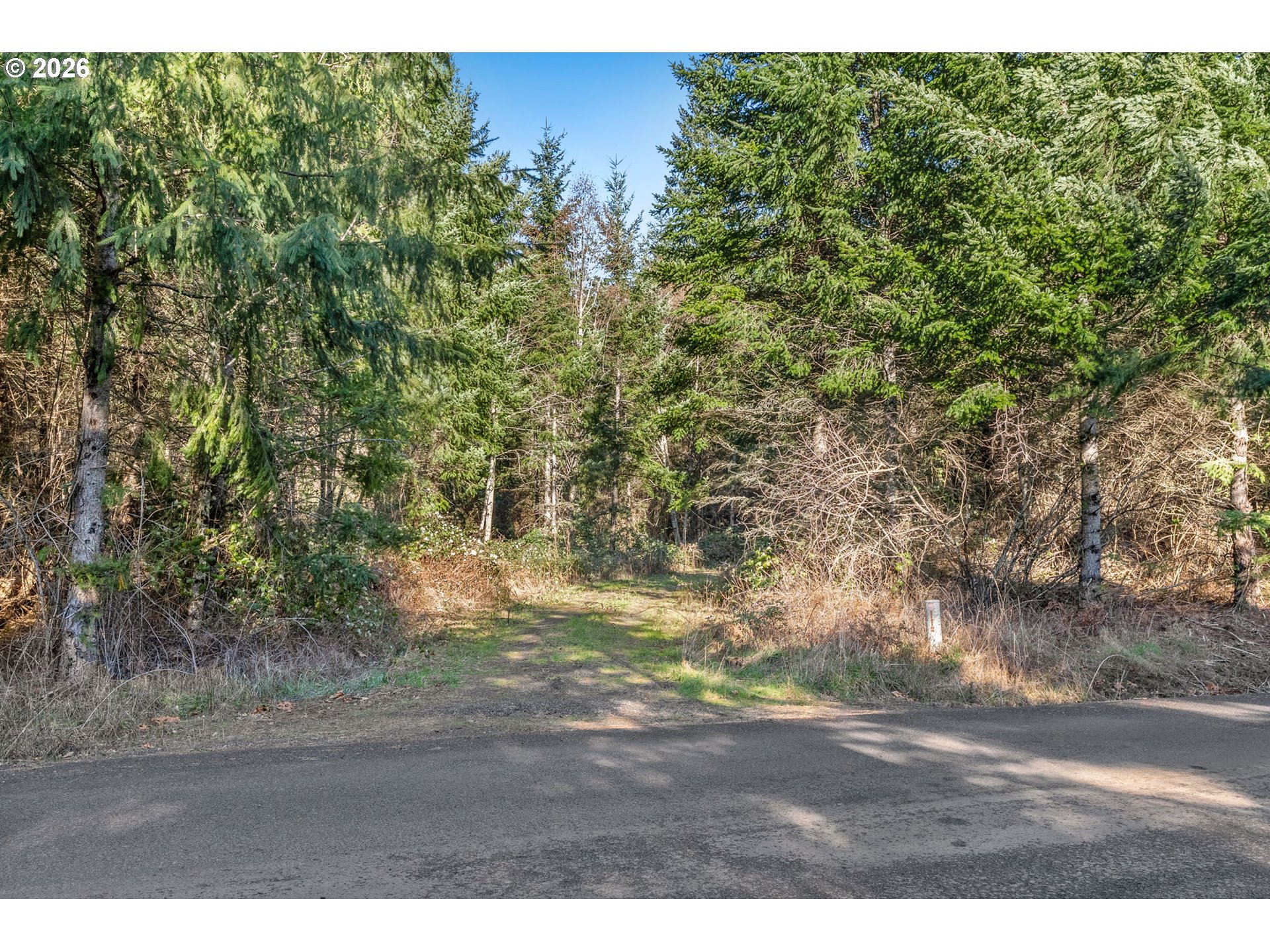 831 Franz Road Stevenson, WA 98648 - Photo 14 of 26 a view of outdoor space and yard