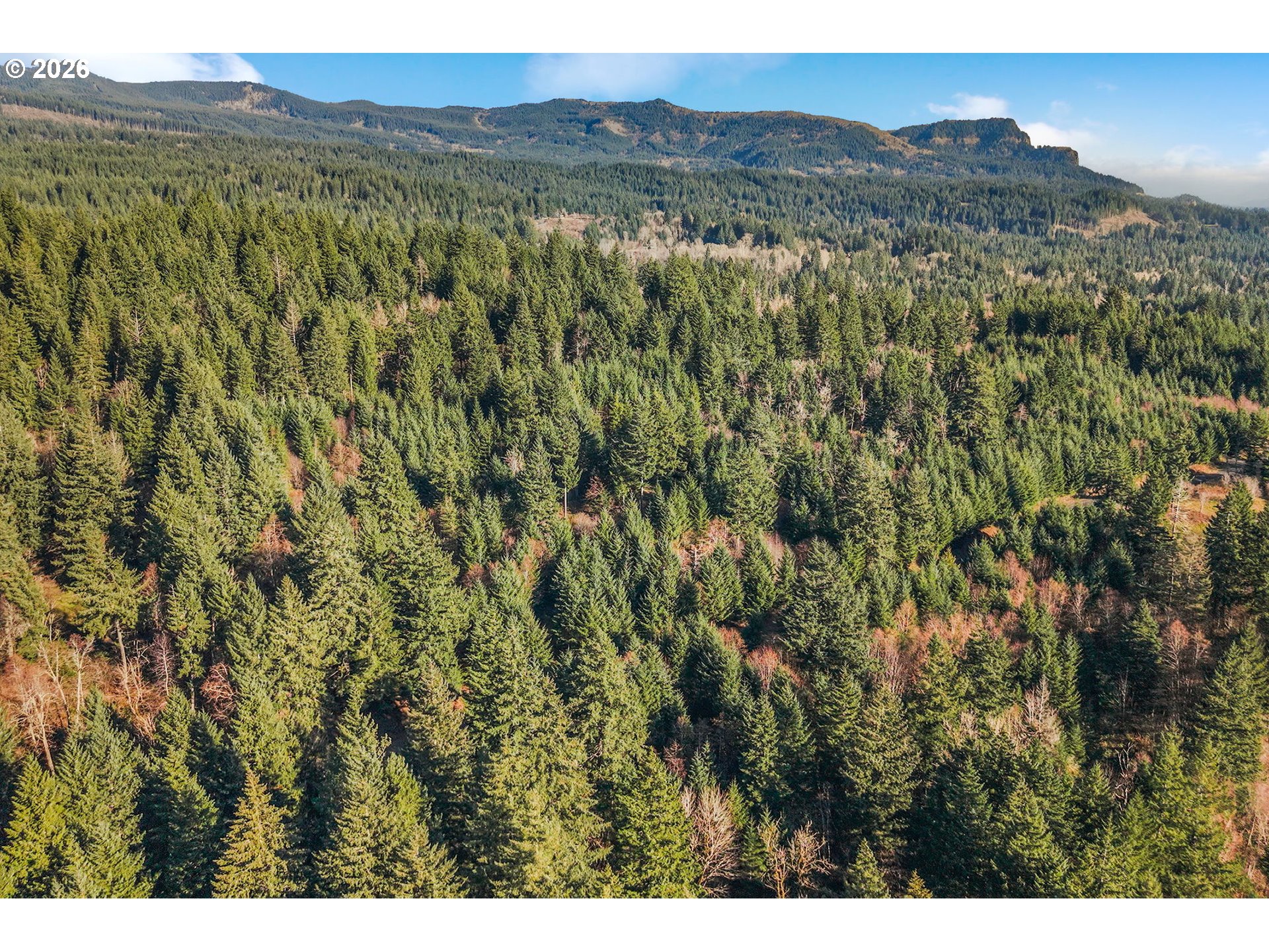 831 Franz Road Stevenson, WA 98648 - Photo 15 of 26 a view of a lush green forest with lush green forest