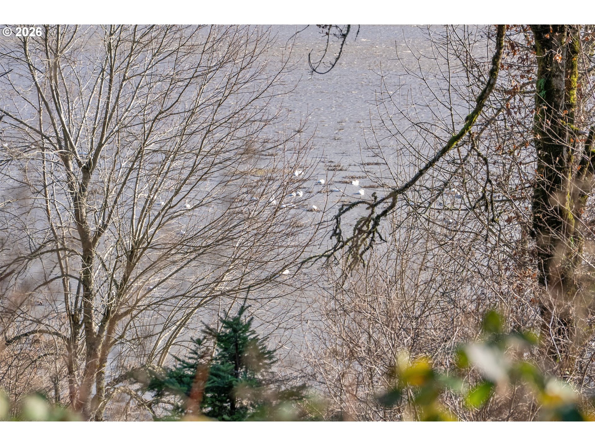 831 Franz Road Stevenson, WA 98648 - Photo 22 of 26 a backyard of a house with lots of green space