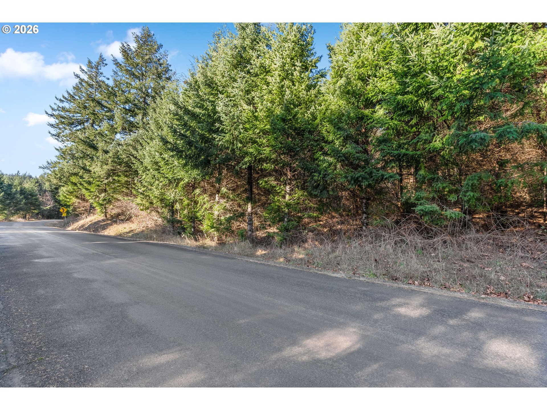 831 Franz Road Stevenson, WA 98648 - Photo 3 of 26 a view of a yard with a tree
