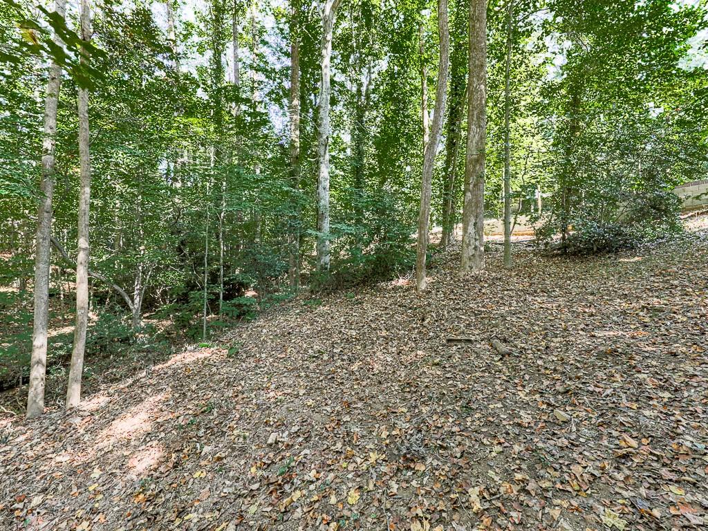 1564 Bubbling Creek Road Northeast Brookhaven, GA 30319 - Photo 4 of 34 a backyard of a house with lots of green space