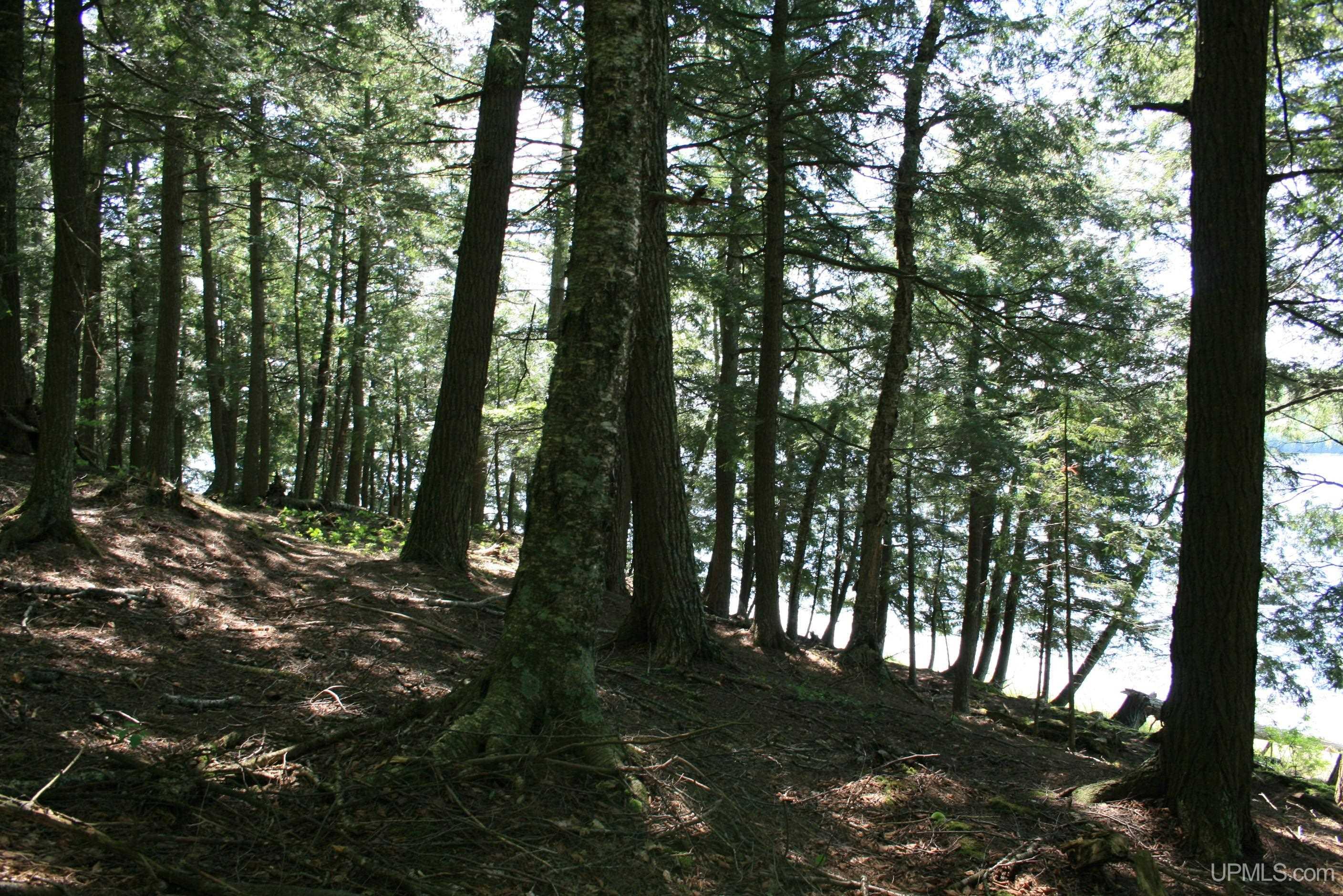 Tbd Smoky Lake Road Iron River, MI 49935 - Photo 10 of 11