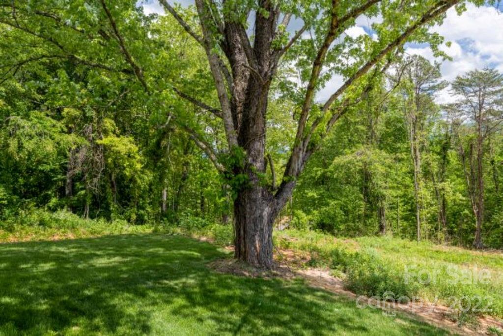 11 Moss Road Weaverville, NC 28787 - Photo 37 of 39 Gallery Image 37