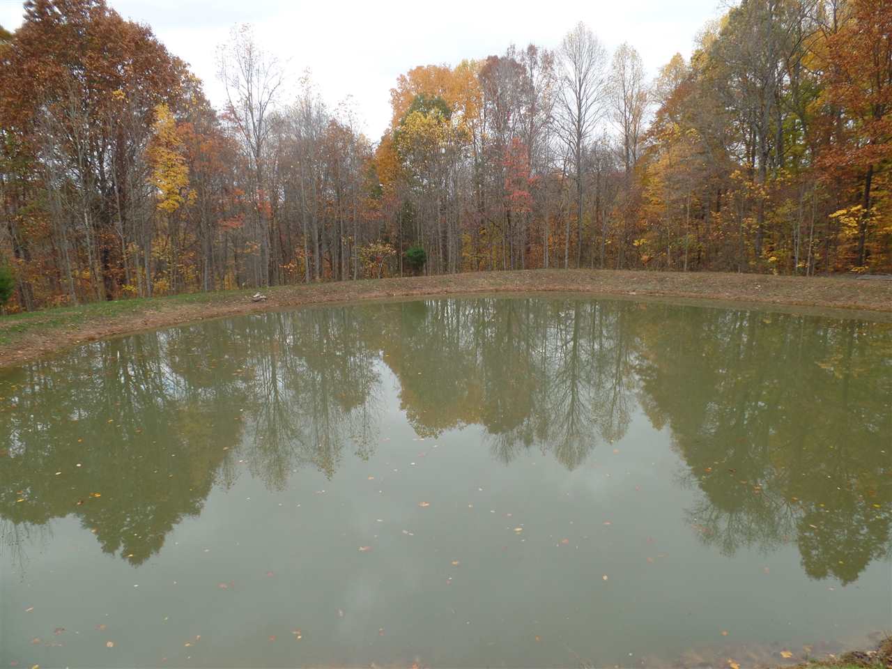 10122 East Dobson Road Bloomfield, IN 47424 - Photo 14 of 24