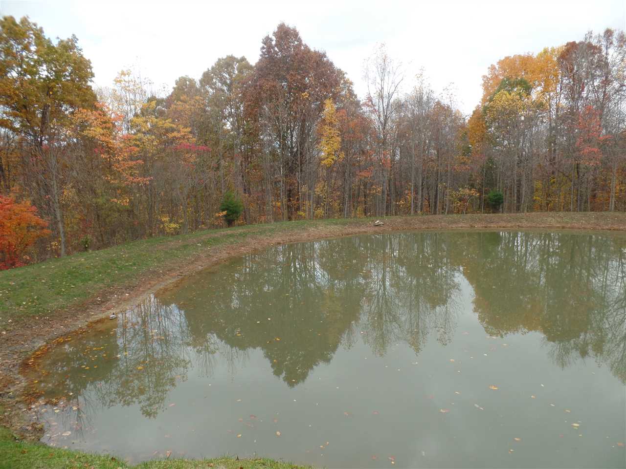 10122 East Dobson Road Bloomfield, IN 47424 - Photo 16 of 24