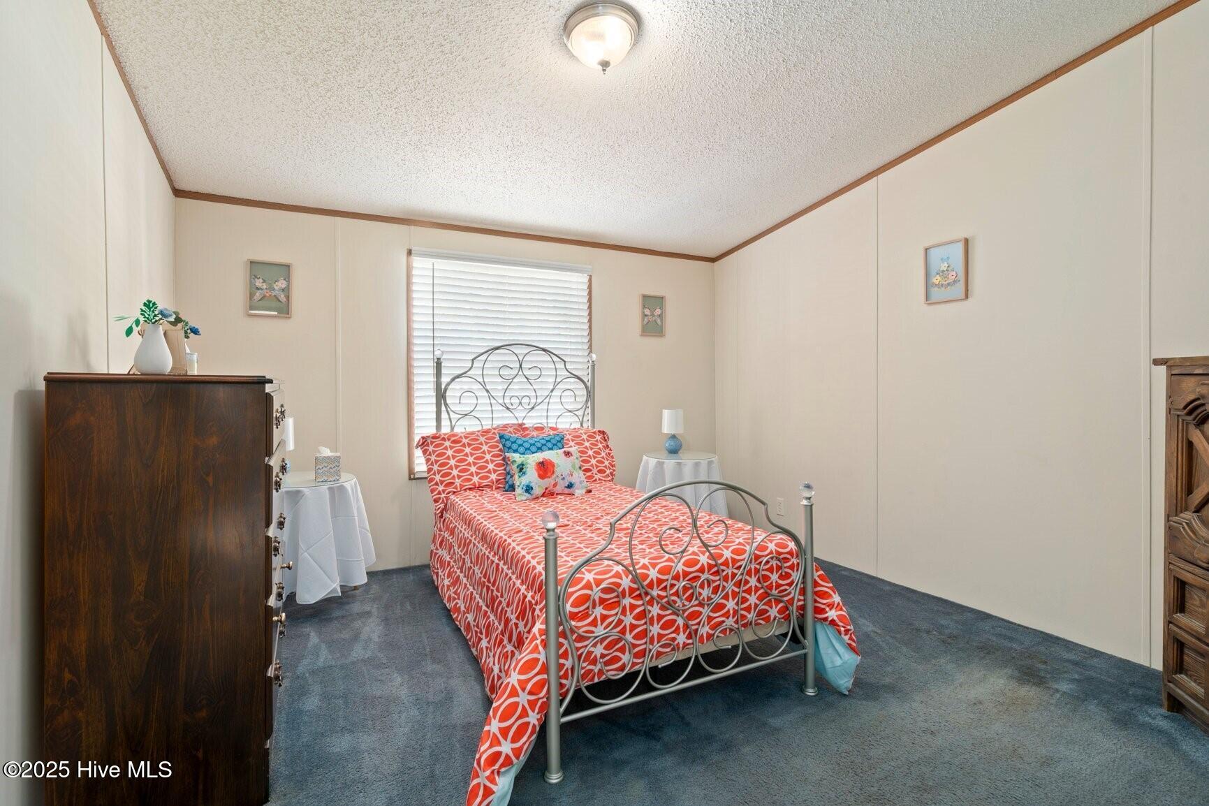 4541 Faith Baptist Church Road Pinetops, NC 27864 - Photo 17 of 29 Bedroom # 2