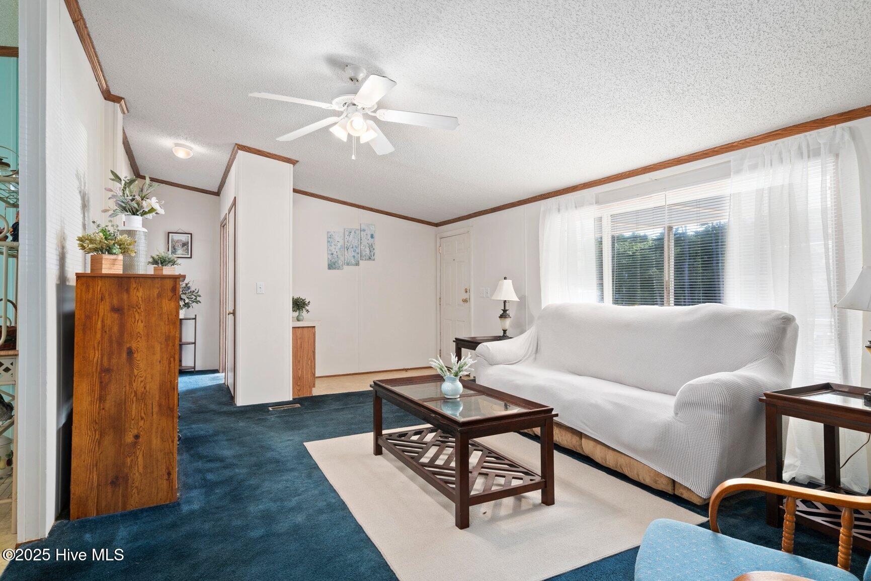 4541 Faith Baptist Church Road Pinetops, NC 27864 - Photo 7 of 29 Living Room / Den
