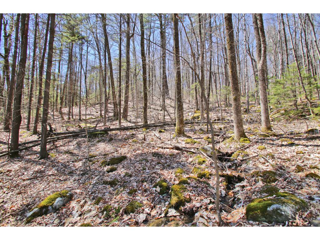155 Dragon Brook Road Middlebury, VT 05753 - Photo 22 of 36 Gallery Image 22