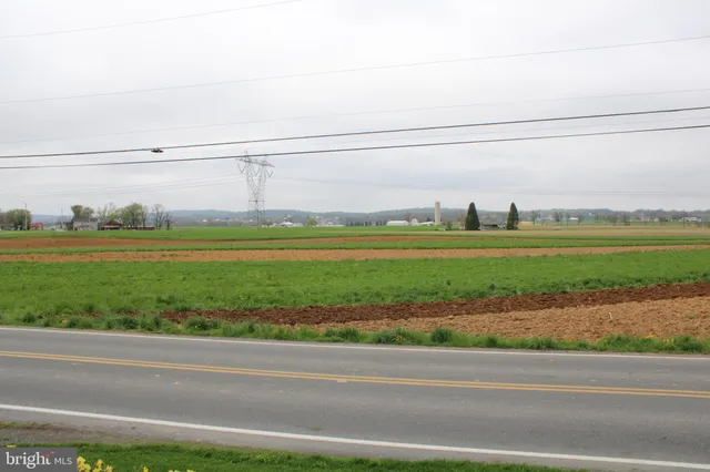 a view of a big room with a big yard and large trees