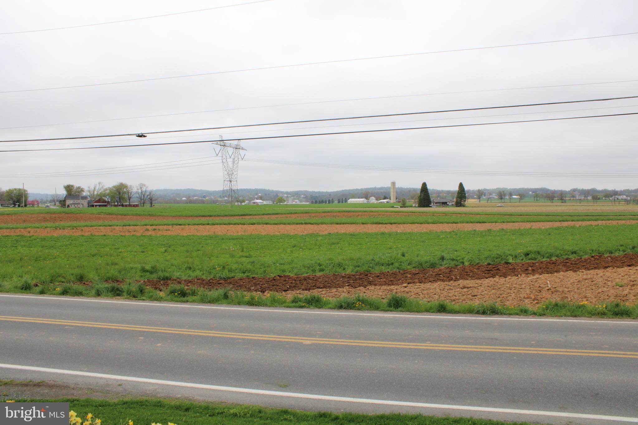 165 Short Road Stevens, PA 17578 - Photo 11 of 19 a view of a big room with a big yard and large trees