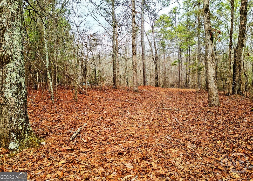 3807 Smithonia Road Comer, GA 30629 - Photo 32 of 39 Land 1