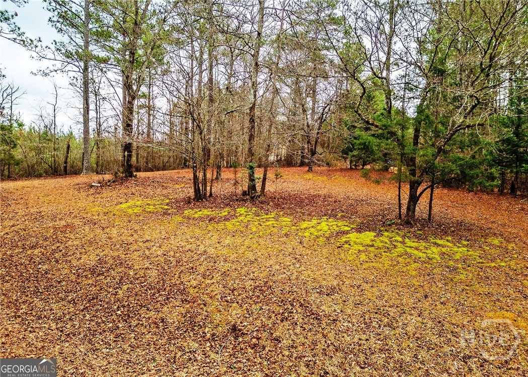 3807 Smithonia Road Comer, GA 30629 - Photo 33 of 39 Land 2