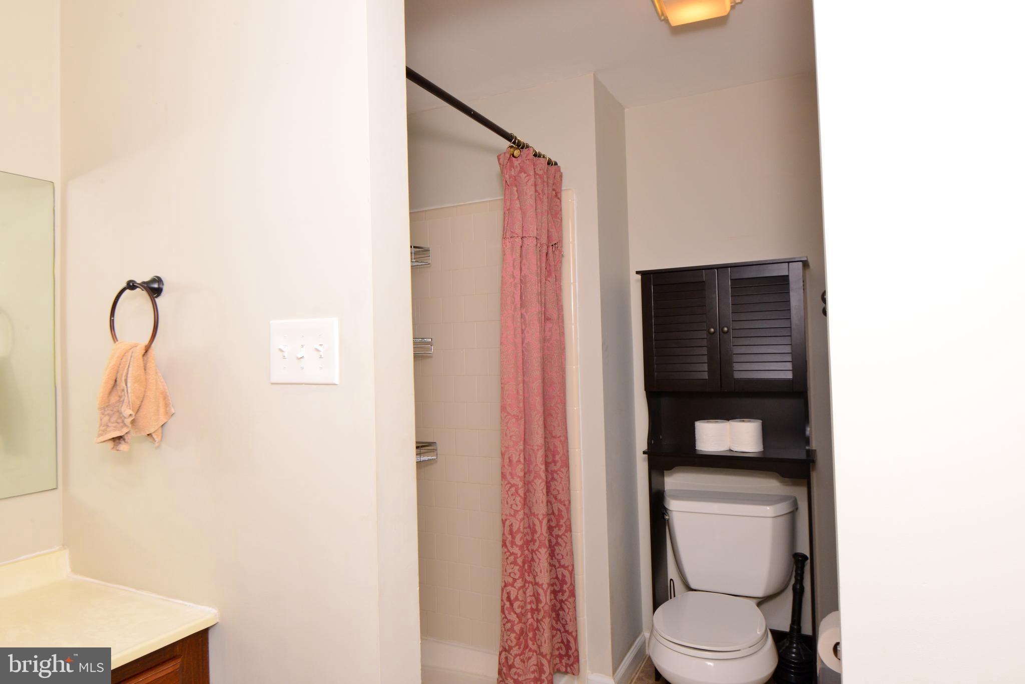 8013 Hollow Reed Court Frederick, MD 21701 - Photo 19 of 34 Master bath with skylight!