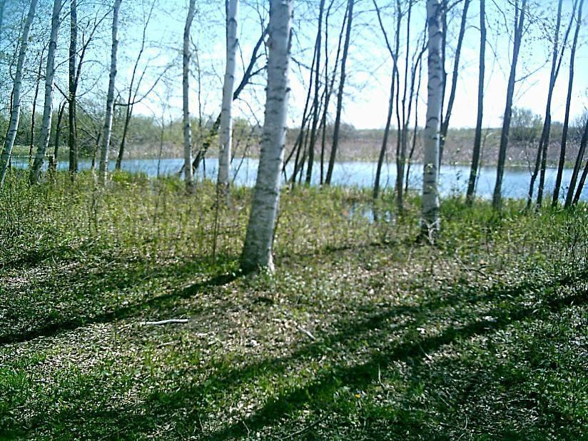 Long Lake Road Ottertail, MN 56571 - Photo 1 of 1 Gallery Image 1