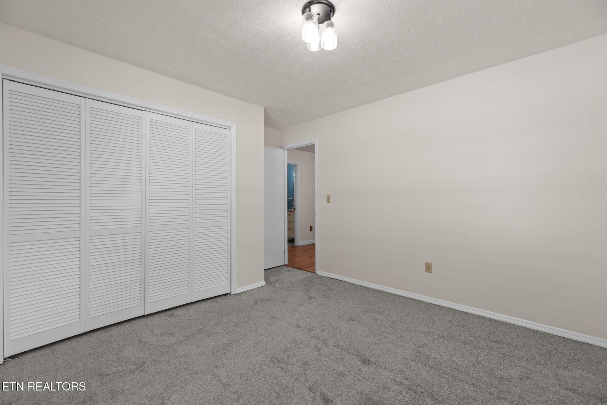 295 Barber Road Corryton, TN 37721 - Photo 25 of 43 Gallery Image 25