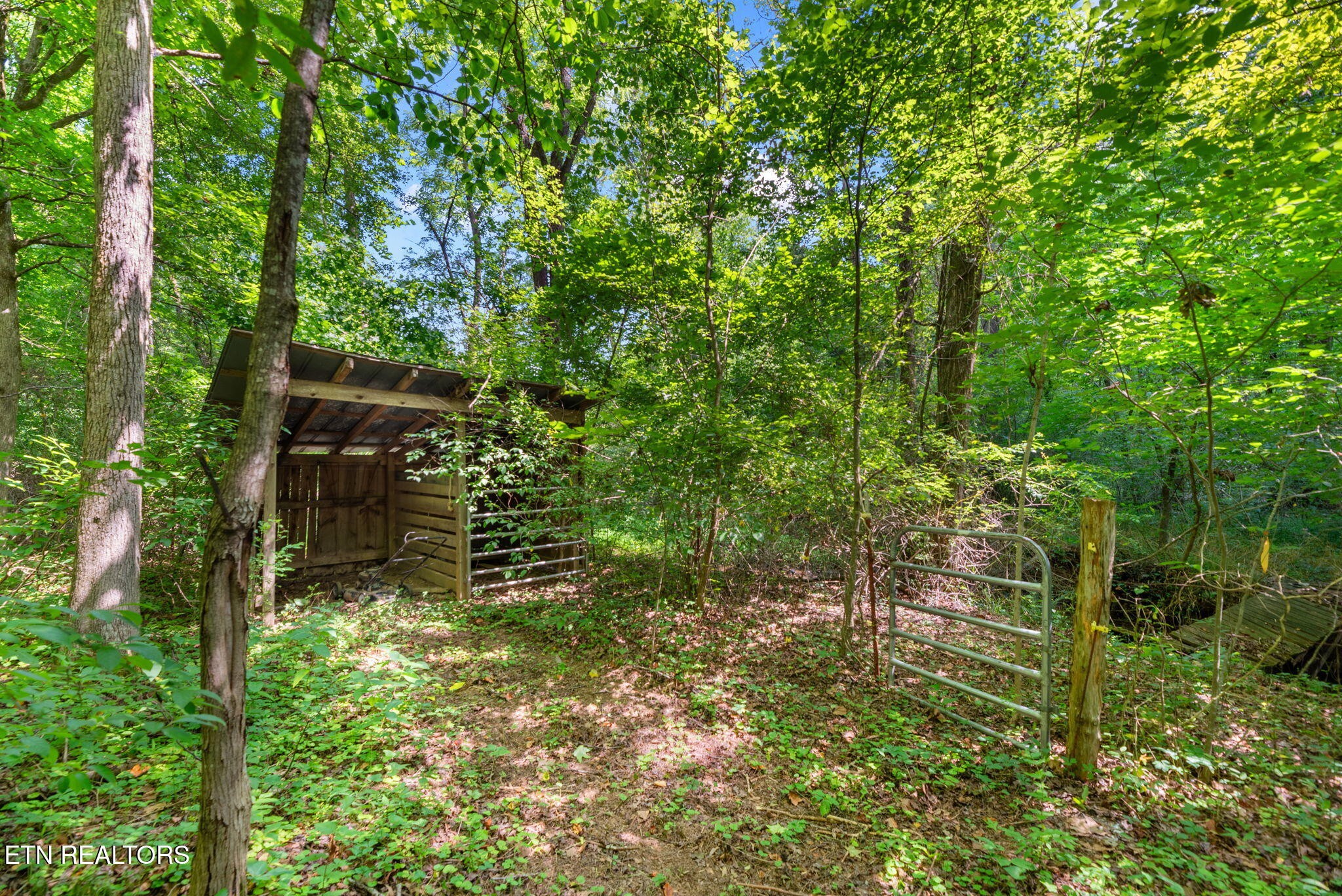295 Barber Road Corryton, TN 37721 - Photo 41 of 43 Gallery Image 41