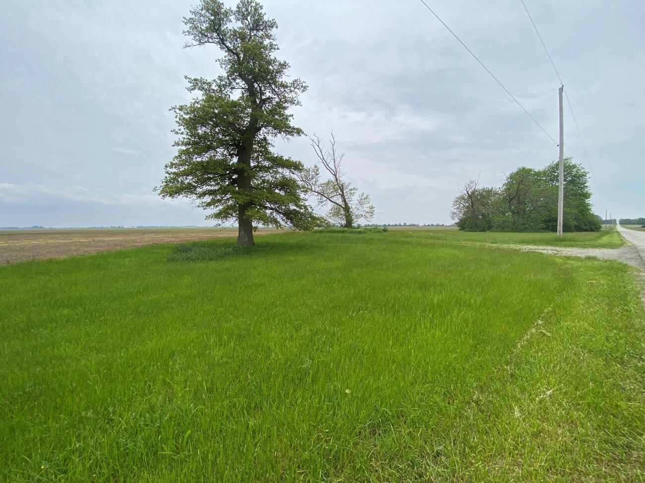 1695 Crawford Road London, OH 43140 - Photo 5 of 5 Crawford Rd. Old Home Site 1